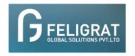 Feligrat Global Solution Pvt Ltd